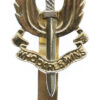 Special Air Service (21 and 23 SAS) Anodised (Staybrite) Cap Badge