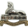 Royal Lincolnshire Regiment Anodised (Staybrite) Cap Badge