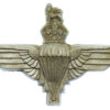 Parachute Regiment WW2 Plastic Economy Cap Badge