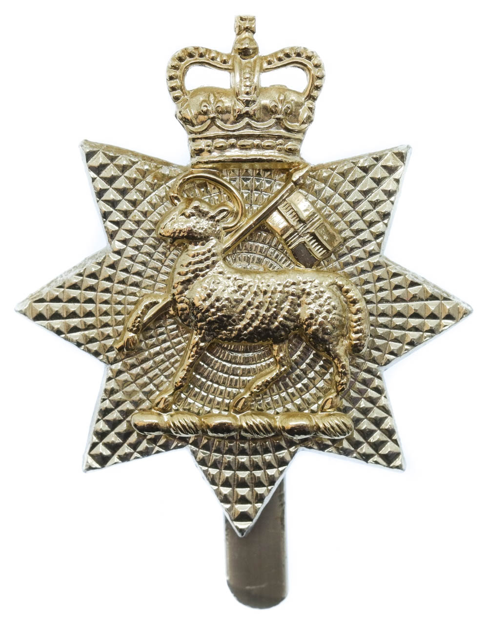 The Queen's Royal Surrey Regiment Anodised (Staybrite) Cap Badge