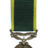 George VI Territorial Efficiency Medal - Pte. D. Robertson, Seaforth Highlanders