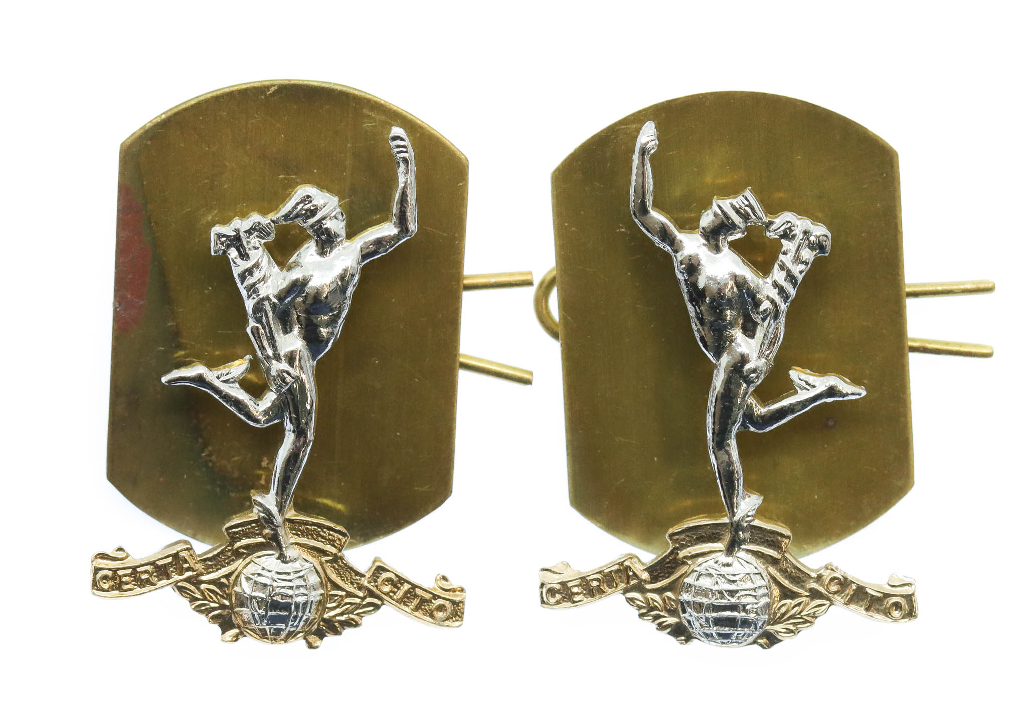 Pair of Royal Signals Anodised (Staybrite) Collar Badges