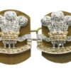 Pair of Pembroke Yeomanry Anodised (Staybrite) Collar Badges 