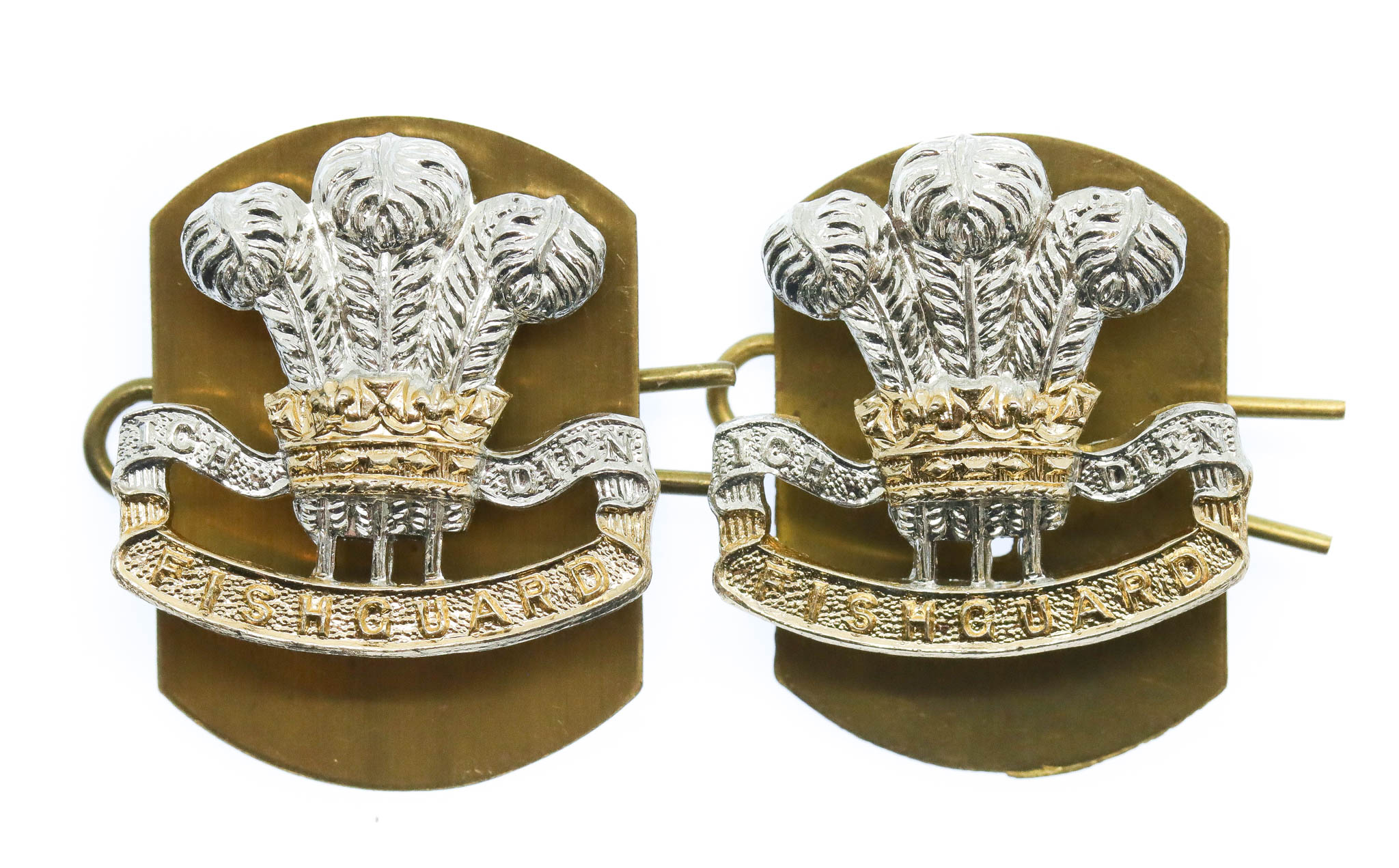 Pair of Pembroke Yeomanry Anodised (Staybrite) Collar Badges 