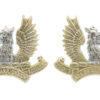 Pair of Ayrshire Yeomanry (Earl of Carrick's Own) Anodised (Staybrite) Collar Badges 