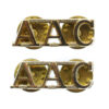 Pair of Army Air Corps (A.A.C.) Anodised (Staybrite) Shoulder Titles