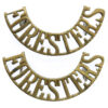 Pair of Sherwood Foresters Notts & Derby Regiment (FORESTERS) Shoulder Titles