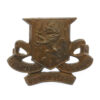 Royal Irish Regiment Collar Badge