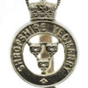 Shropshire Yeomanry Anodised (Staybrite) Cap Badge