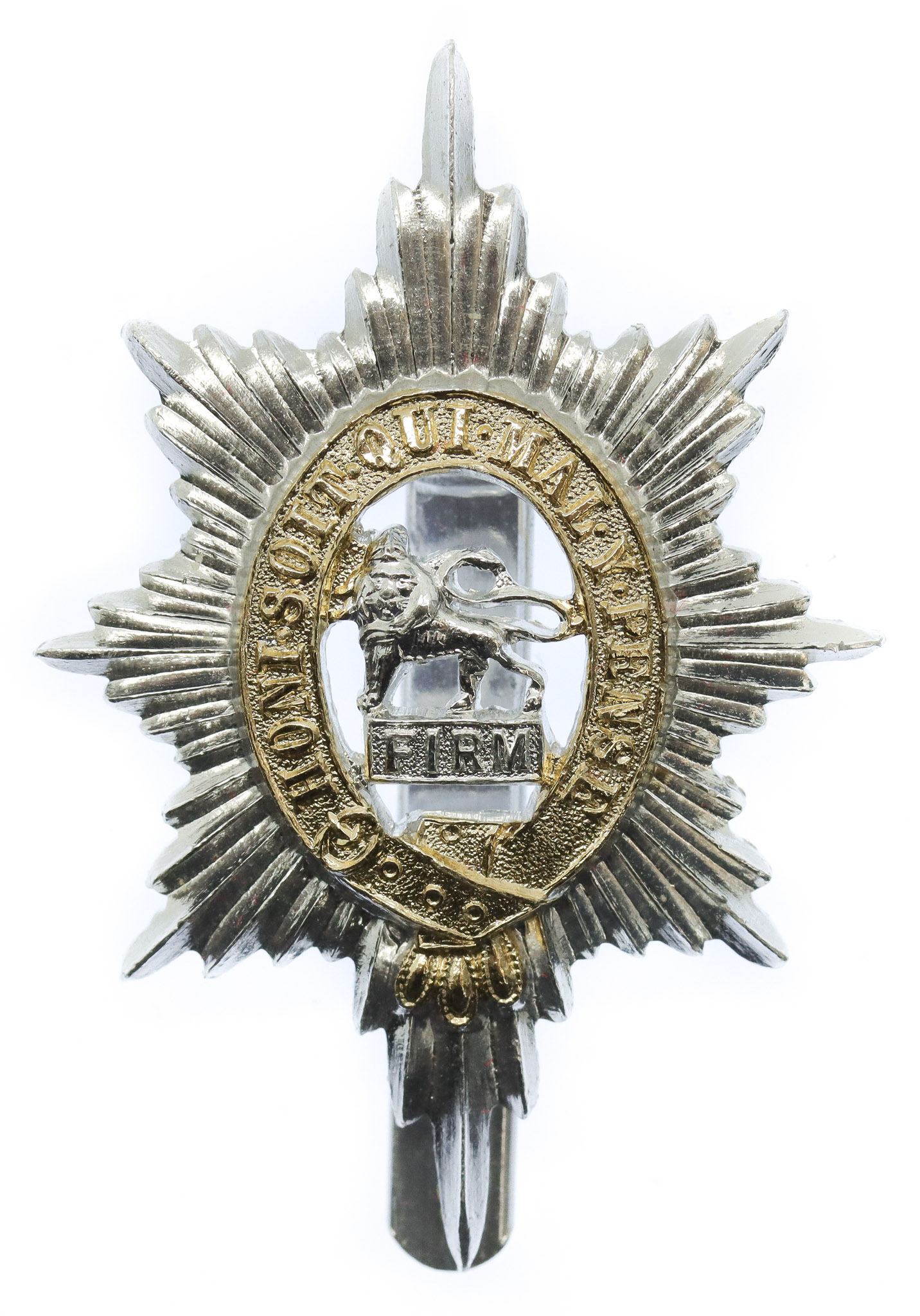Worcestershire Regiment Anodised (Staybrite) Cap Badge