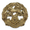 Hampshire Regiment WW2 Plastic Economy Cap Badge
