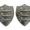 Pair of Great Yarmouth Police Collar Badges