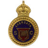 Arbroath Special Constabulary Enamelled Lapel Badge - King's Crown