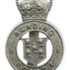 Reading Borough Police Cap Badge - Queen's Crown