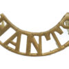 Hampshire Regiment (HANTS) Shoulder Title