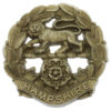 Hampshire Regiment WW2 Plastic Economy Cap Badge