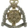 Hampshire & Isle of Wight Territorials Anodised (Staybrite) Cap Badge