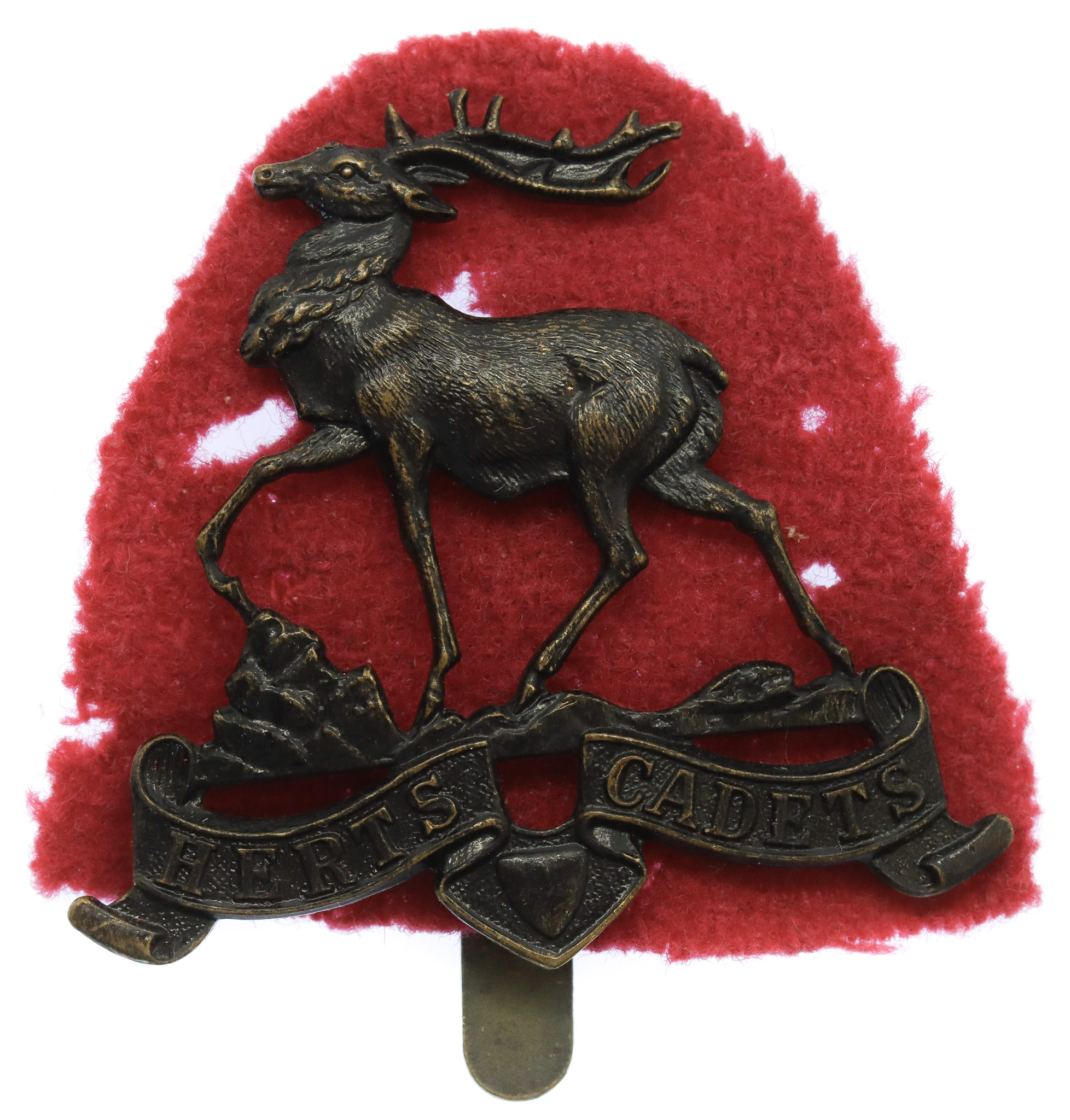 Hertfordshire Cadets (Herts Cadets) Cap Badge