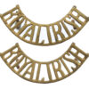 Pair of Royal Irish Regiment (Royal Irish) Shoulder Titles