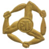 Royal Air Force (R.A.F.) Physical Training Instructors Arm Badge 