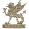 Wessex Brigade Officer's Silvered Cap Badge