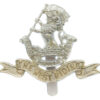 Duke of Wellington's (West Riding Regiment)  Anodised (Staybrite) Cap Badge