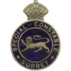 Surrey Special Constable Enamelled Lapel Badge - King's Crown