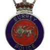 Surrey Police Enamelled Cap Badge - Queen's Crown