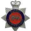 Surrey Constabulary Enamelled Star Cap Badge - Queen's Crown
