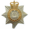 Devonshire Regiment Anodised (Staybrite) Cap Badge - Queen's Crown