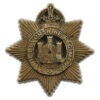Devonshire Regiment WW2 Plastic Economy Cap Badge