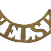 Welsh Regiment (WELSH) Shoulder Title