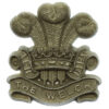 Welsh Regiment WW2 Plastic Economy Cap Badge