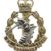 Royal Army Dental Corps (R.A.D.C.) Anodised (Staybrite) Cap Badge - Queen's Crown