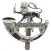 Hereford Light Infantry Anodised (Staybrite) Cap Badge