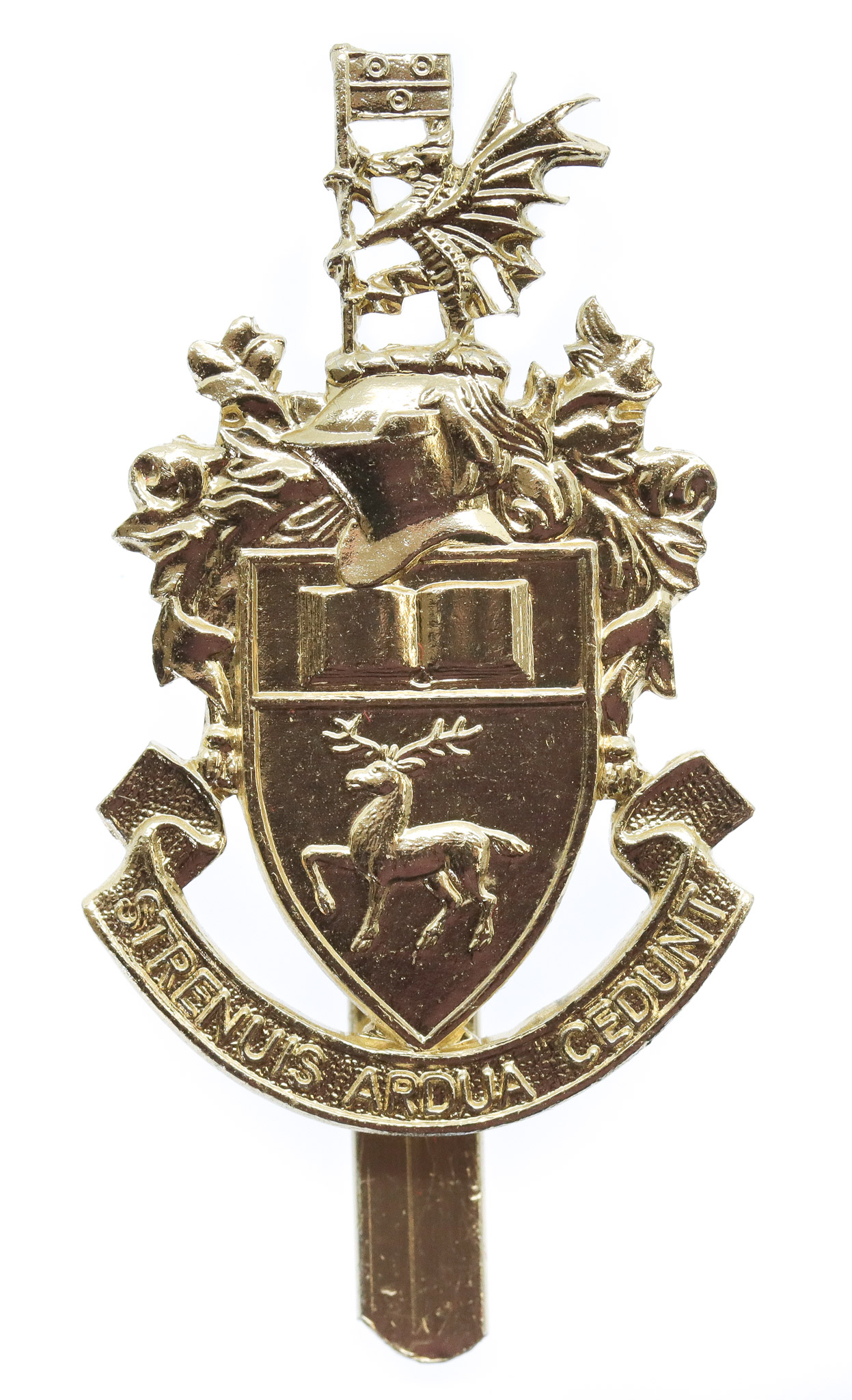 Southampton University O.T.C. Anodised (Staybrite) Cap Badge