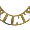 Wiltshire Regiment (WILTS) Shoulder Title