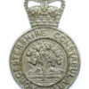 Worcestershire Constabulary Cap Badge - Queen's Crown