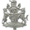 Devon & Exeter Joint Constabulary Cap Badge