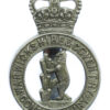 Warwickshire & Coventry Constabulary Cap Badge - Queen's Crown