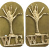 Pair of Welsh Guards Anodised (Staybrite) Shoulder Titles