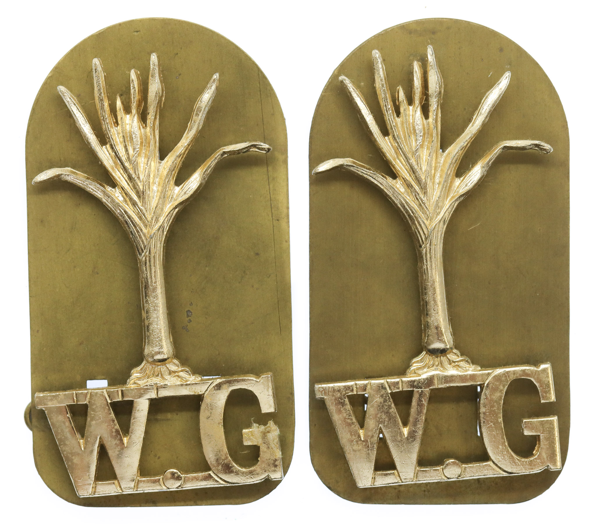 Pair of Welsh Guards Anodised (Staybrite) Shoulder Titles