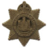Devonshire Regiment WW2 Plastic Economy Cap Badge