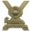 Lowland Regiment Cap Badge