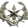 Cameronians (Scottish Rifles) Anodised (Staybrite) Cap Badge