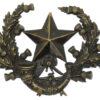 Victorian Cameronians (Scottish Rifles) Blackened Brass Cap Badge
