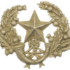 Cameronians (Scottish Rifles) Cap Badge