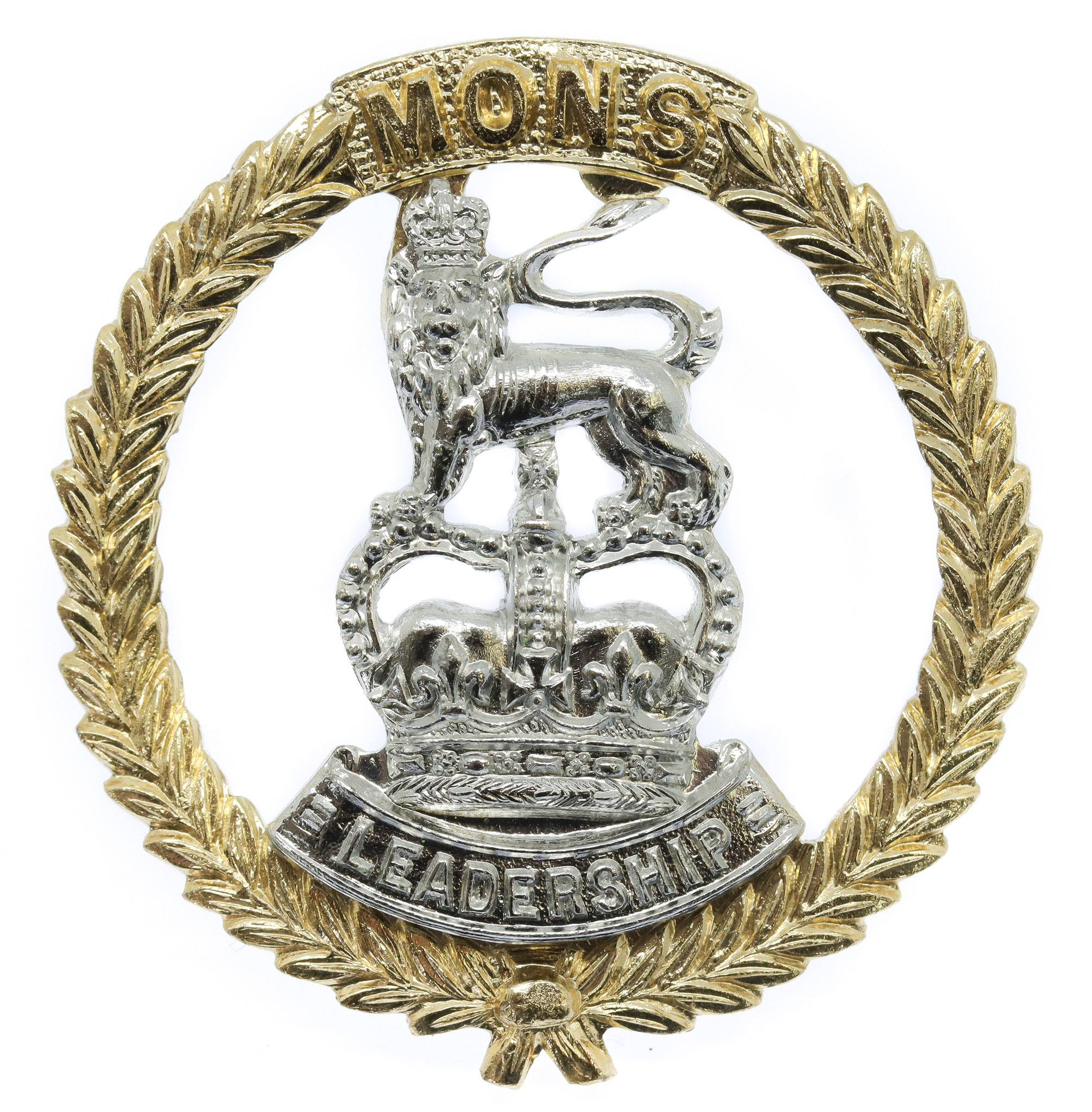 Mons Officer Cadet School Anodised (Staybrite) Cap Badge