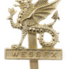 Wessex Brigade Anodised (Staybrite) Cap Badge