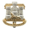 Devon & Dorset Regiment Anodised (Staybrite) Cap Badge